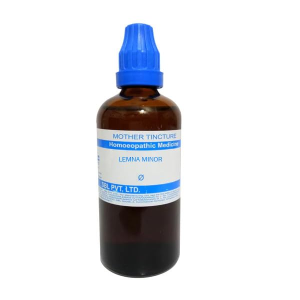 SBL Homeopathy Lemna Minor Mother Tincture Q - BUDEN