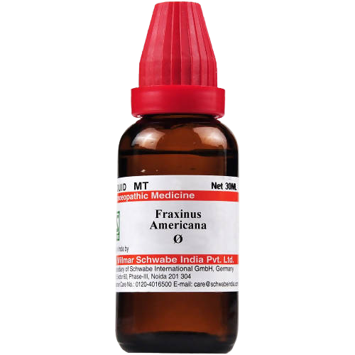 Dr. Willmar Schwabe India Fraxinus Americana Mother Tincture -  usa australia canada 