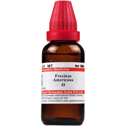 Dr. Willmar Schwabe India Fraxinus Americana Mother Tincture -  usa australia canada 