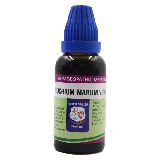 Father Muller Teucrium Marum Virum Mother Tincture Q