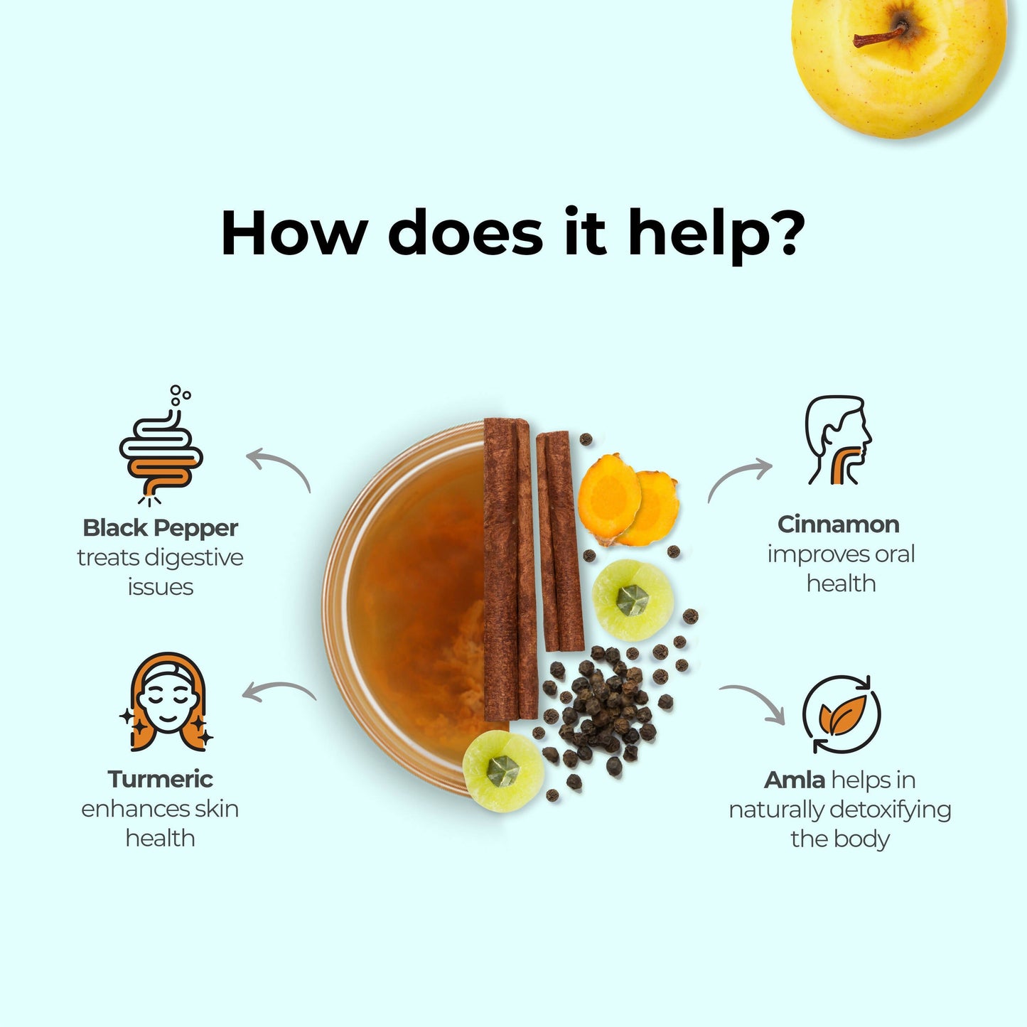 Wellbeing Nutrition Apple Cider Vinegar with Amla And Turmeric