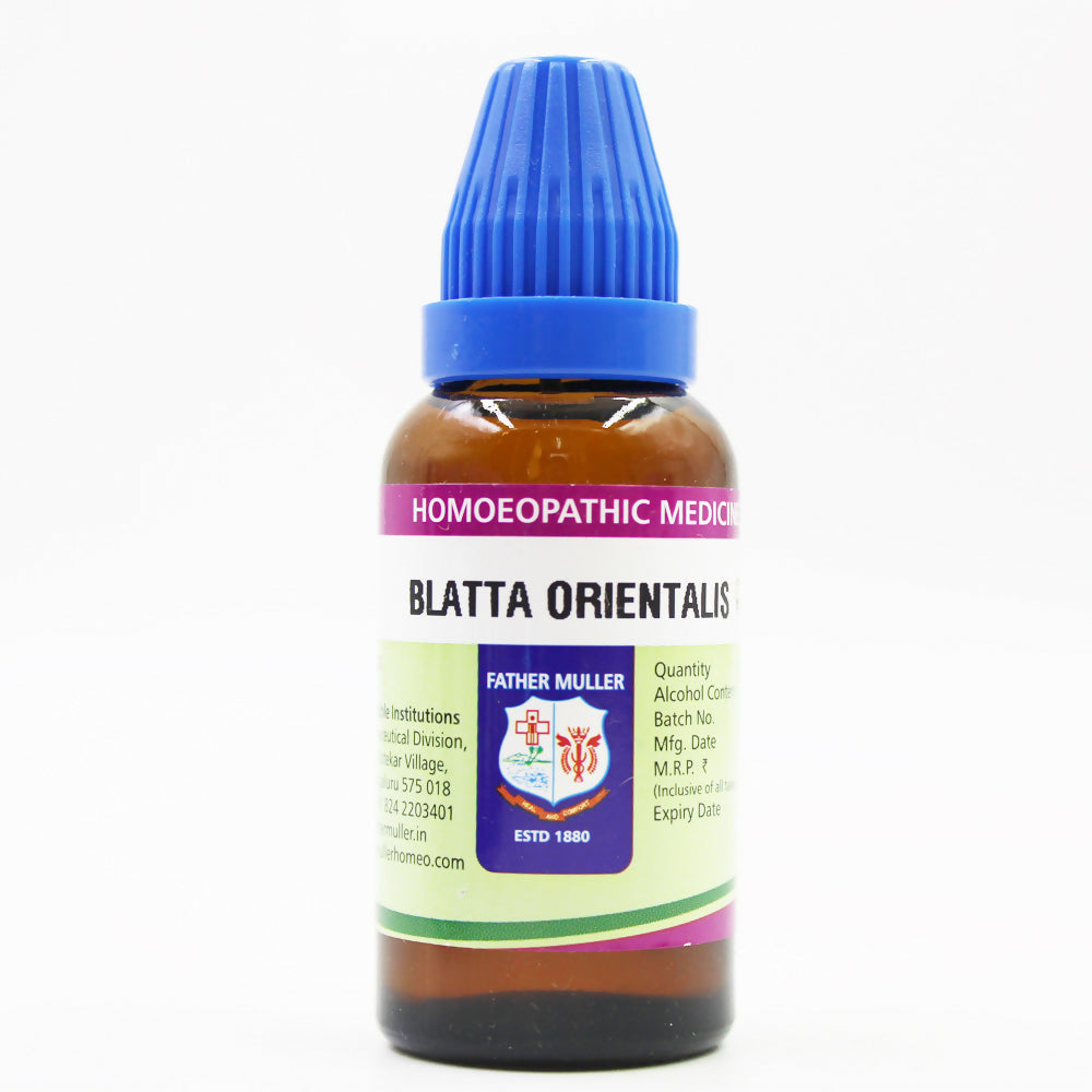 Father Muller Blatta Orientalis Mother Tincture Q