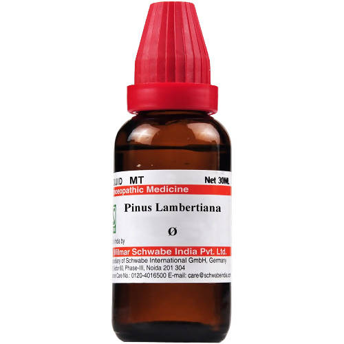 Dr. Willmar Schwabe India Pinus Lambertiana Mother Tincture Q