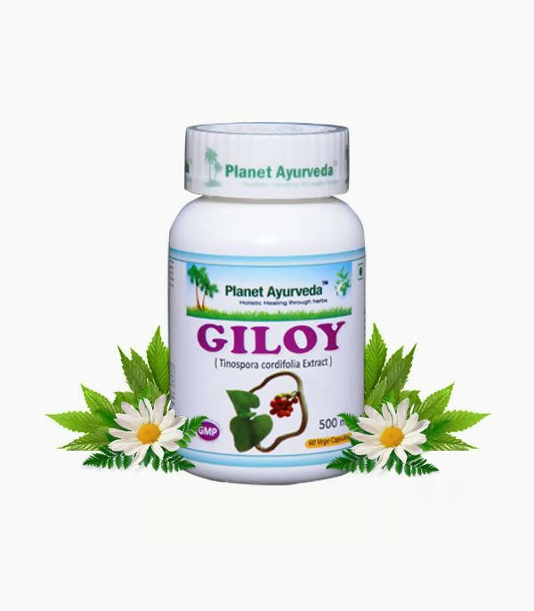 Planet Ayurveda Giloy Capsules - BUDEN