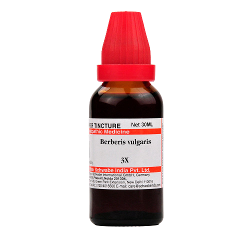 Dr. Willmar Schwabe India Berberis vulgaris Mother Tincture Q