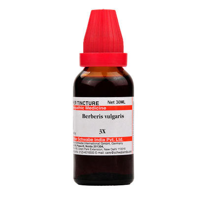 Dr. Willmar Schwabe India Berberis vulgaris Mother Tincture Q