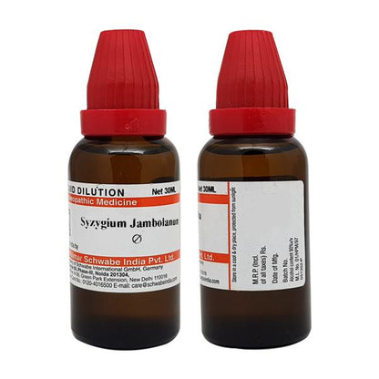 Dr. Willmar Schwabe India Syzygium Jambolanum Mother Tincture Q