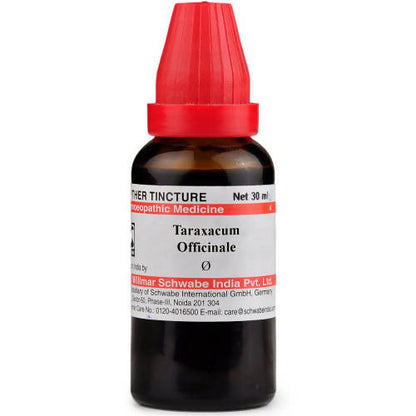 Dr. Willmar Schwabe India Taraxacum Officinale Mother Tincture Q