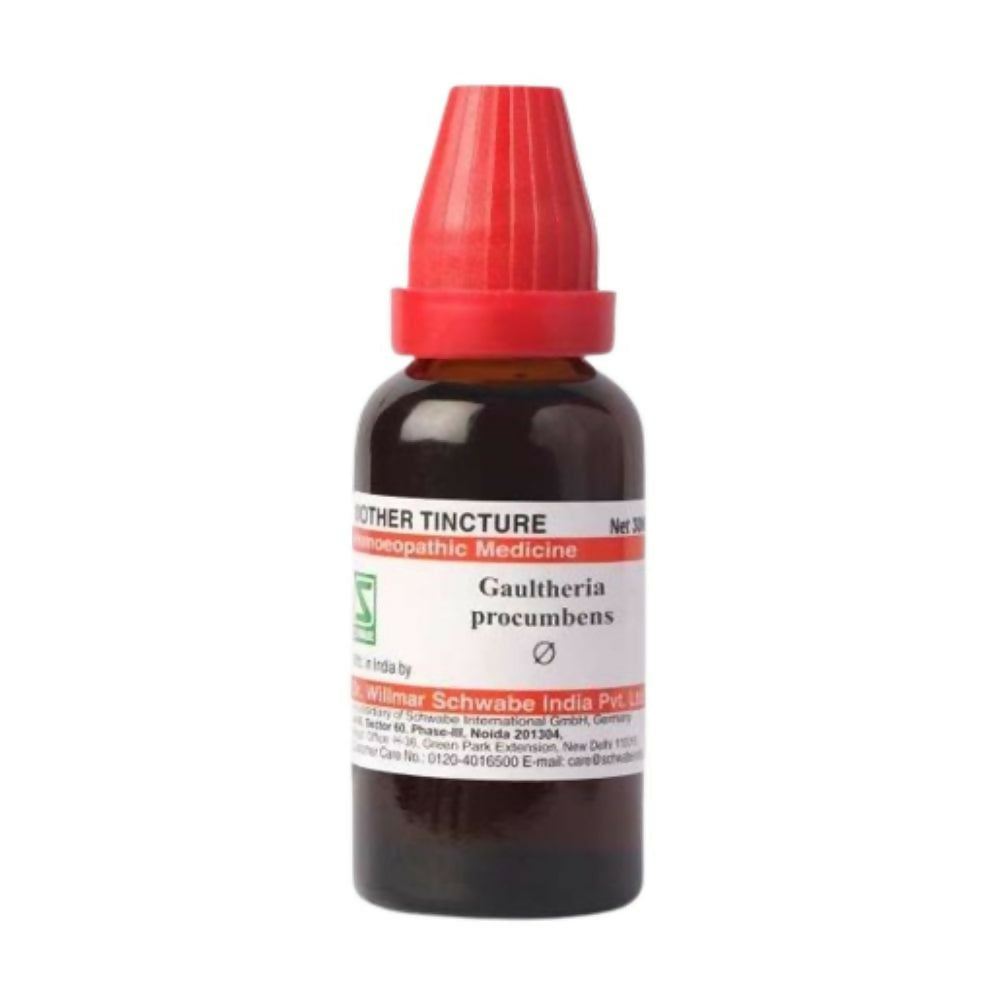 Dr. Willmar Schwabe India Gaultheria Procumbens Mother Tincture Q - usa canada australia