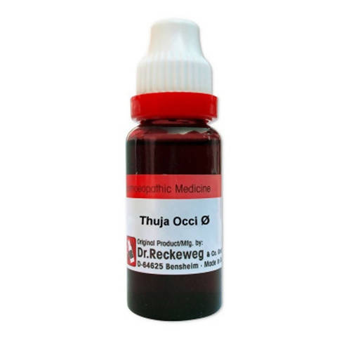 Dr. Reckeweg Thuja Occi Mother Tincture Q - BUDNE