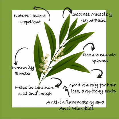 Sarva by Anadi Tea Tree Pure Essential Oil