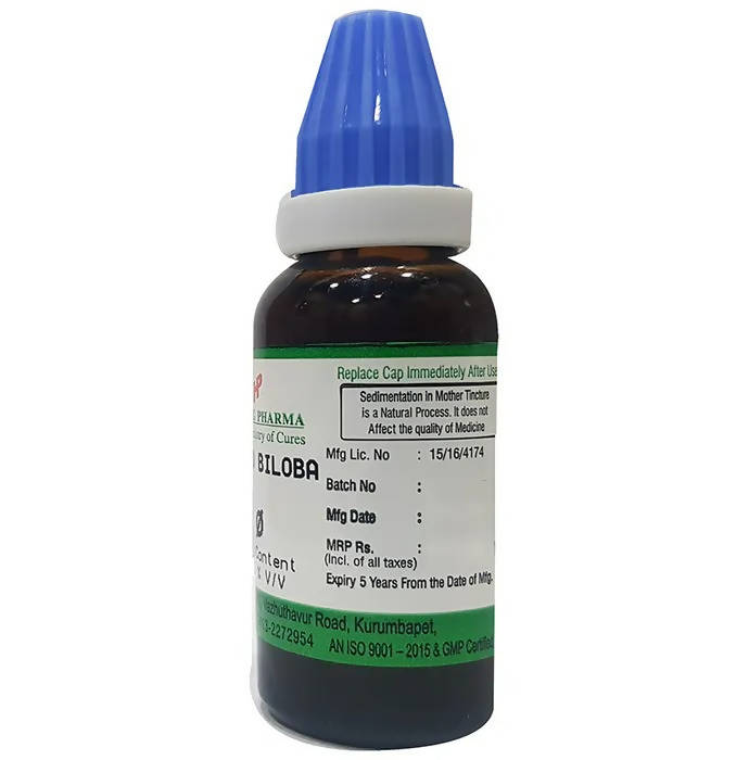 Hering Pharma Ginkgo Biloba Mother Tincture Q