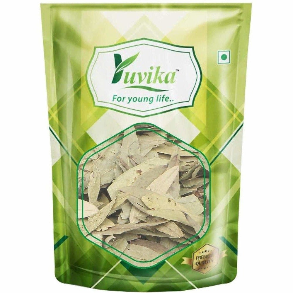 Yuvika Ayurveda Senna / Sanay Leaves