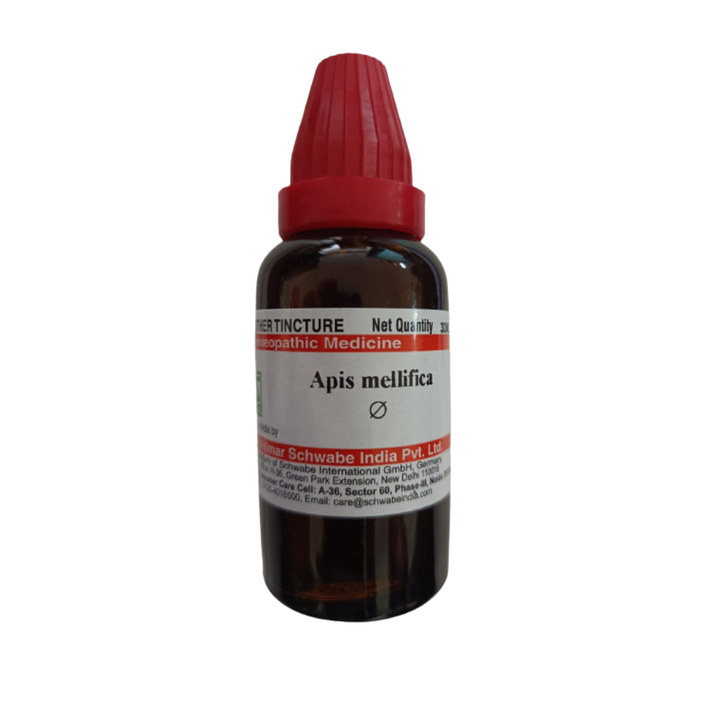 Dr. Willmar Schwabe India Apis Mellifica Mother Tincture Q - BUDNE