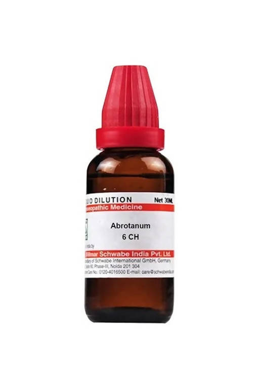 Dr. Willmar Schwabe India Abrotanum Dilution