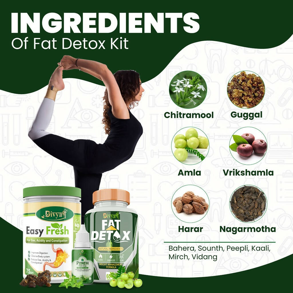 Divya Shree Fat Detox Capsule + Easy Fresh Powder & Punch Tulsi Drop Gas Combo Kit