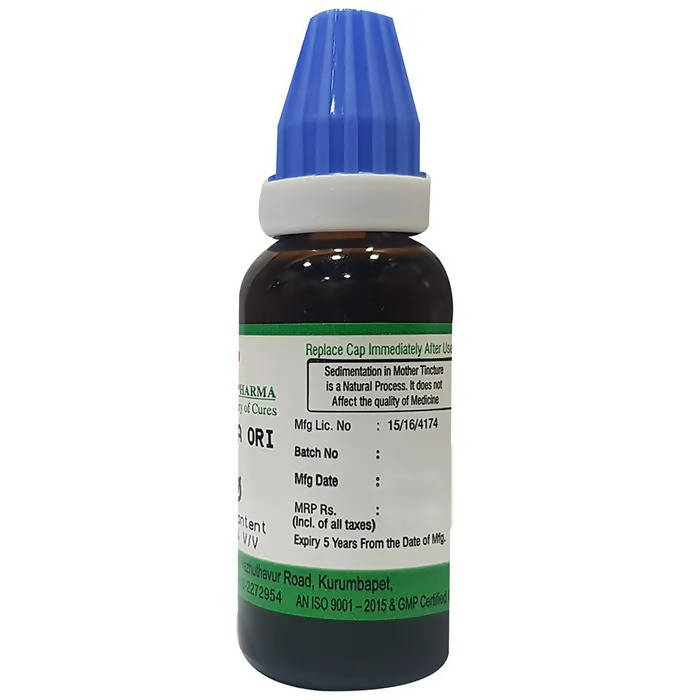 Hering Pharma Blatta Ori Mother Tincture Q