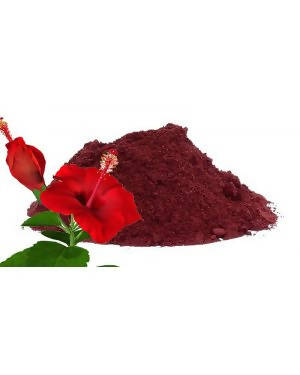 Hebsur Herbals Hibiscus Powder