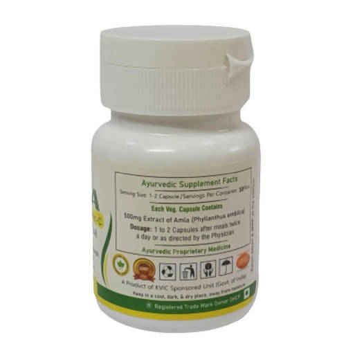 Deep Ayurveda Amla 500mg Veg Capsules