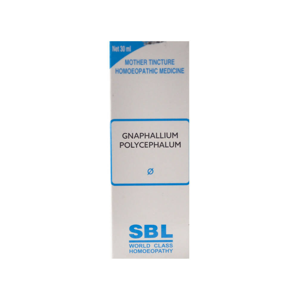 SBL Homeopathy Gnaphalium Polycephalum Mother Tincture Q - BUDEN