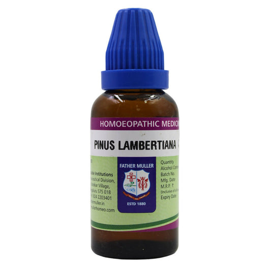 Father Muller Pinus Lambertiana Mother Tincture Q