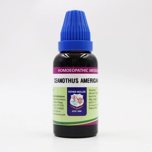 Father Muller Ceanothus Americanus Mother Tincture Q