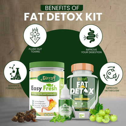 Divya Shree Fat Detox Capsule + Easy Fresh Powder & Punch Tulsi Drop Gas Combo Kit