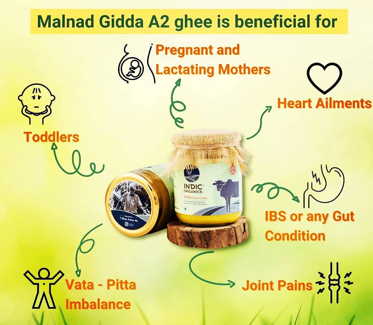 Indic Organics Forest Grazing Malnad Gidda Desi Cow's A2 Ghee