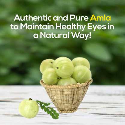 Herbal Hills Organic Amla Powder