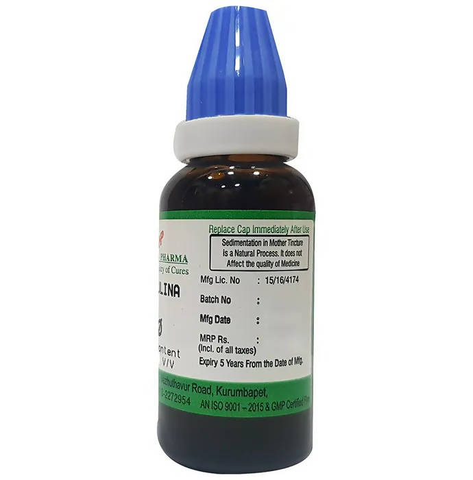 Hering Pharma Spirulina Mother Tincture Q