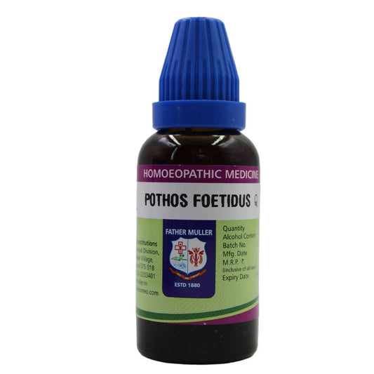 Father Muller Pothos Foetidus Mother Tincture Q