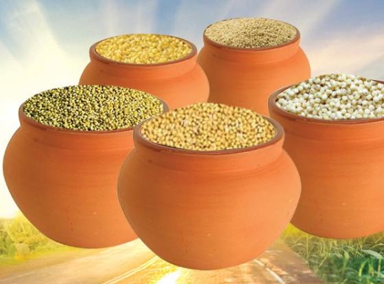 Siridhanyalu Millets