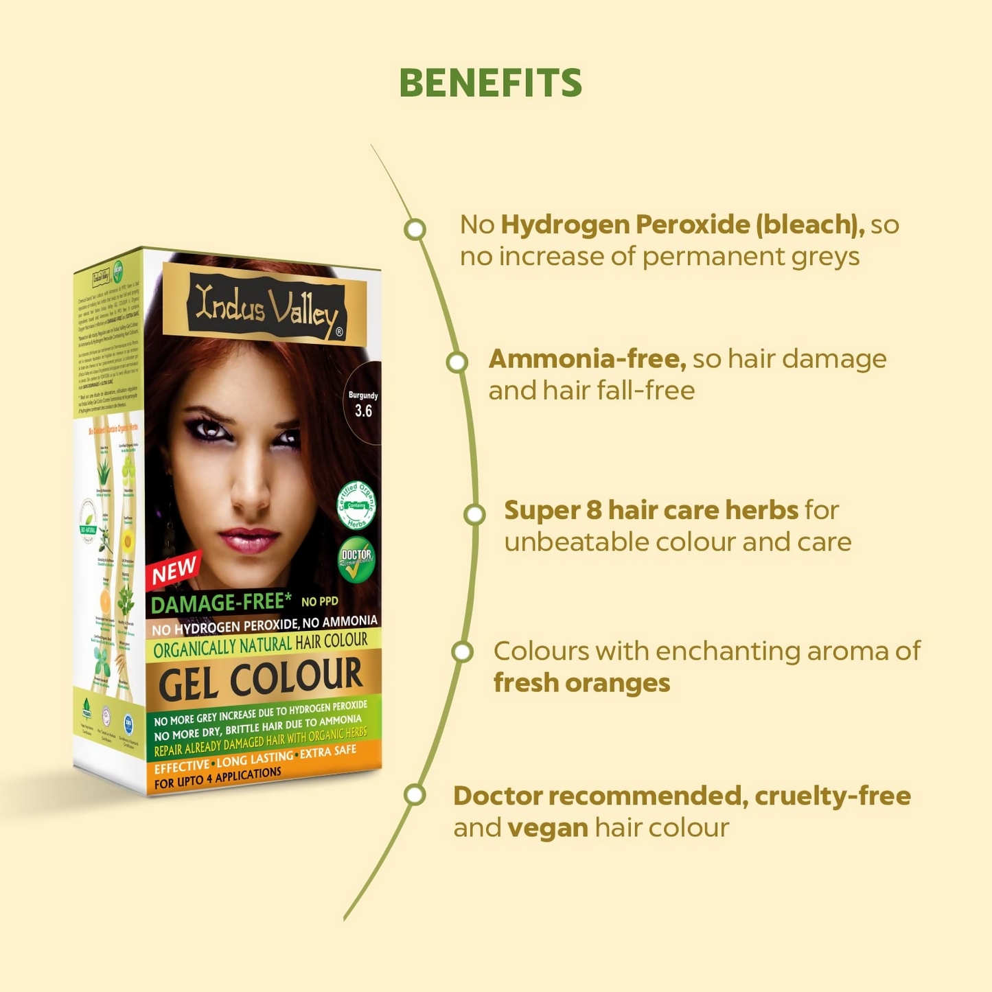 Indus Valley Damage-Free Gel Hair Color- Burgundy