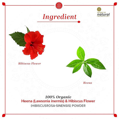 Khadi Natural Organic Henna & Hibiscus Flower Powder